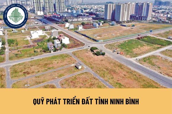 Hội đồng quản lý Quỹ của Quỹ phát triển đất tỉnh Ninh Bình được quy định ra sao?