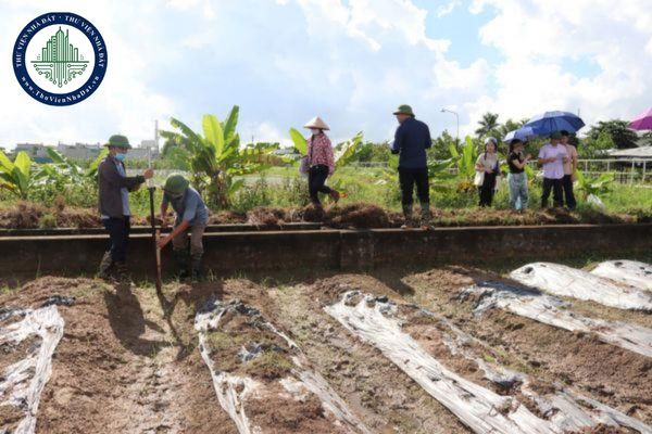 Quyết định cưỡng chế thực hiện quyết định thu hồi đất chưa có hiệu lực thi hành thì có được thực hiện cưỡng chế hay không?