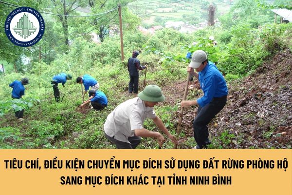 Tiêu chí, điều kiện chuyển mục đích sử dụng đất rừng phòng hộ sang mục đích khác tại tỉnh Ninh Bình