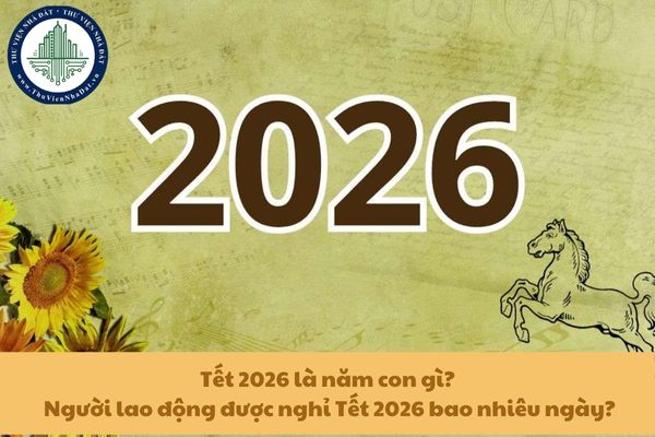 Tết 2026 là năm con gì? Người lao động được nghỉ Tết 2026 bao nhiêu ngày?