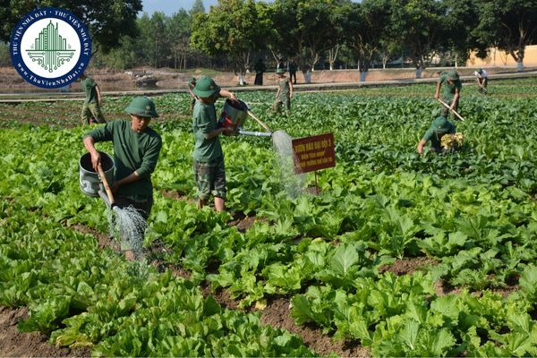 Nội dung thẩm định phương án sử dụng đất quốc phòng, an ninh kết hợp với hoạt động lao động sản xuất, xây dựng kinh tế có bao gồm hiện trạng sử dụng đất?