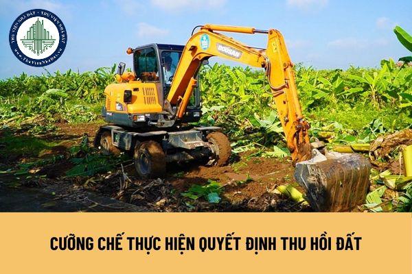 thuviennhadat.vn