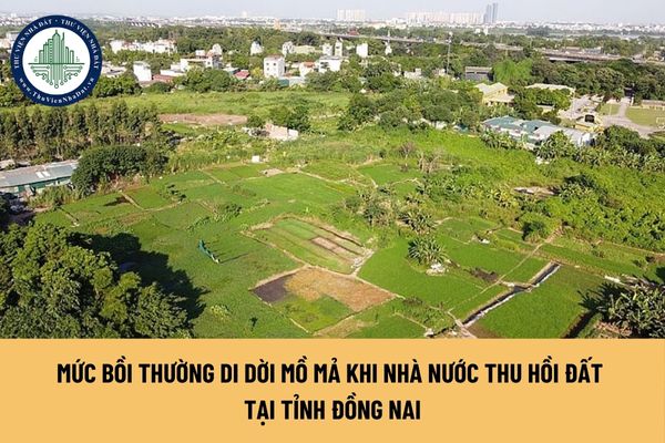 Mức bồi thường di dời mồ mả khi Nhà nước thu hồi đất tại tỉnh Đồng Nai