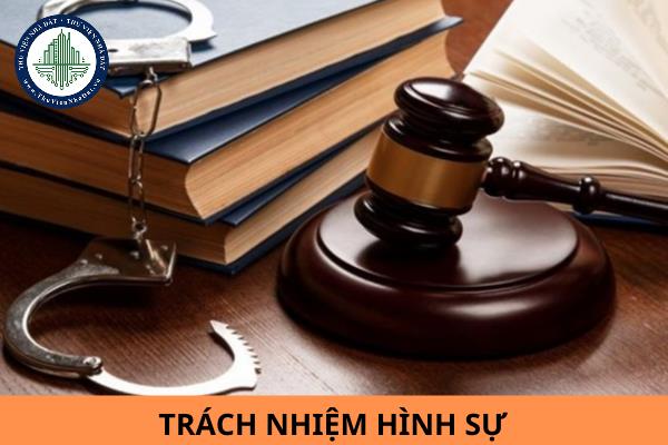 thuviennhadat.vn