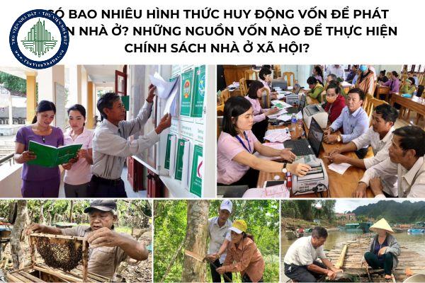 thuviennhadat.vn