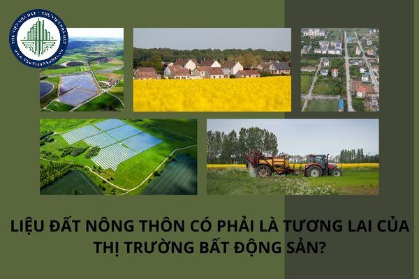 thuviennhadat.vn