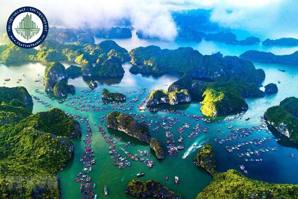 thuviennhadat.vn