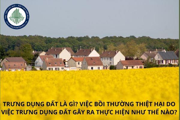 thuviennhadat.vn