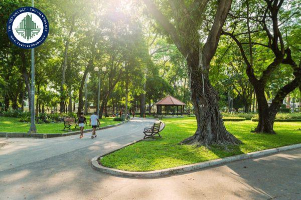 Đất CCC là gì? Đất CCC thuộc nhóm đất nào và gồm những loại đất gì? (Ảnh từ Internet)