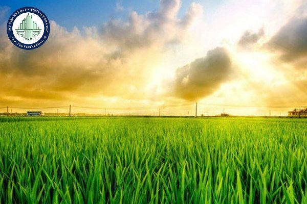 Đất LUK là đất gì thuộc nhóm đất nào? Thời hạn sử dụng đất LUK là bao lâu? (Ảnh từ Internet)