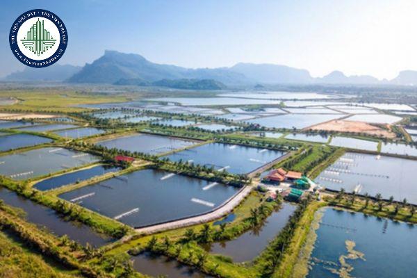 Đất NTS là đất gì? Thời hạn sử dụng đất NTS là bao lâu? (Ảnh từ Internet)