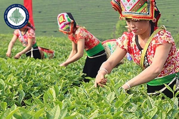 thuviennhadat.vn