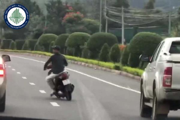 thuviennhadat.vn