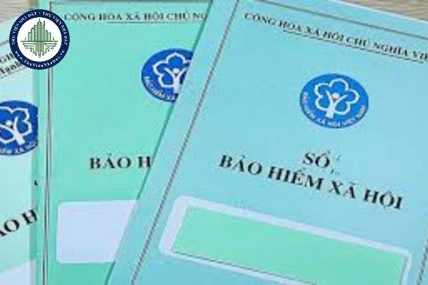 thuviennhadat.vn