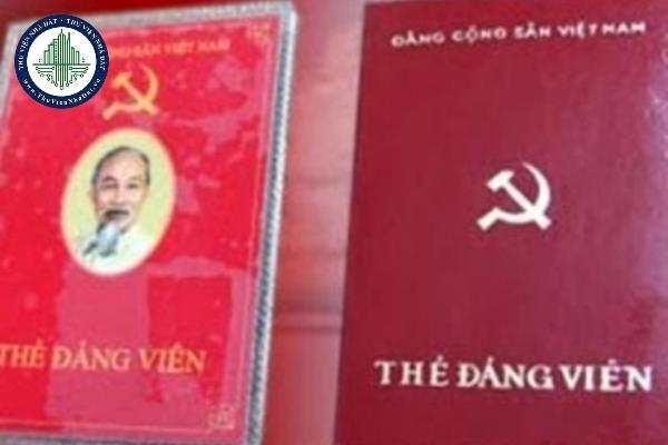 thuviennhadat.vn