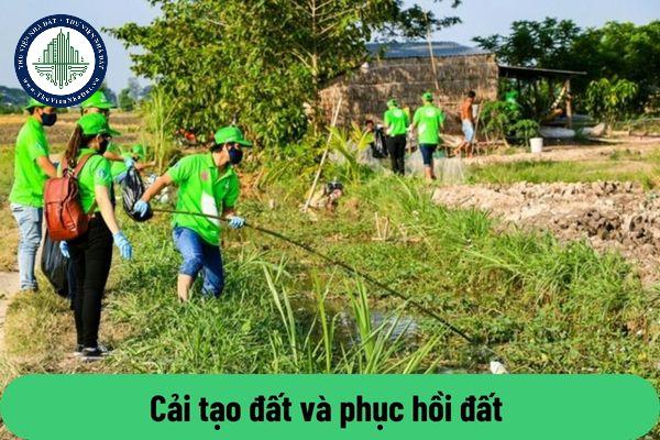 thuviennhadat.vn