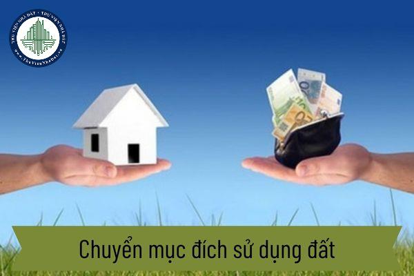 thuviennhadat.vn