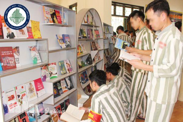 thuviennhadat.vn