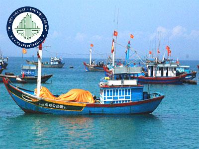 thuviennhadat.vn