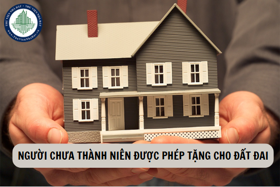 Người chưa thành niên được phép tặng cho bất động sản theo quy định pháp luật không?