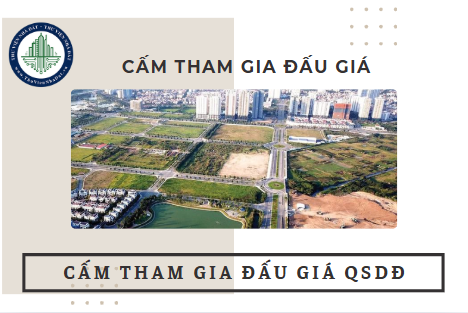 Nội dung của Quyết định cấm tham gia đấu giá quyền sử dụng đất 2025