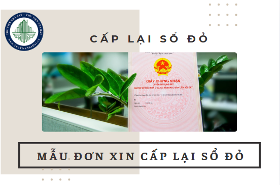 Mẫu đơn xin cấp lại sổ đỏ 2025