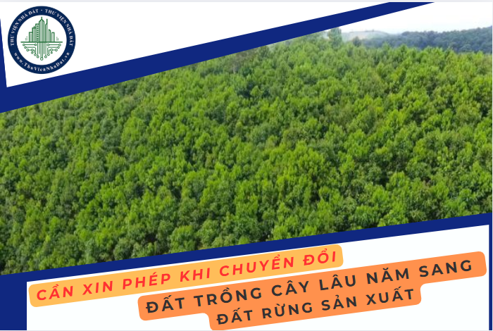 Chuyển đổi mục đích đất trồng cây lâu năm sang đất rừng sản xuất có phải xin phép không? (Hình ảnh từ Internet)