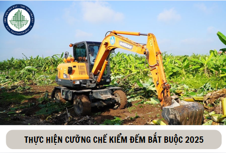 Quy định về thực hiện cưỡng chế kiểm đếm bắt buộc 2025 (Hình ảnh từ Internet)