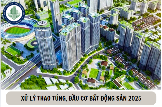 Bất động sản 2025, Thủ tướng Chính phủ tập trung chấn chỉnh, xử lý việc thao túng giá, đầu cơ bất động sản