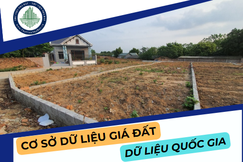 Cập nhật cơ sở dữ liệu giá đất với từng loại thửa đất  trên cơ sở dữ liệu quốc gia về đất đai từ 10/01/2025 (Hình ảnh từ Internet)