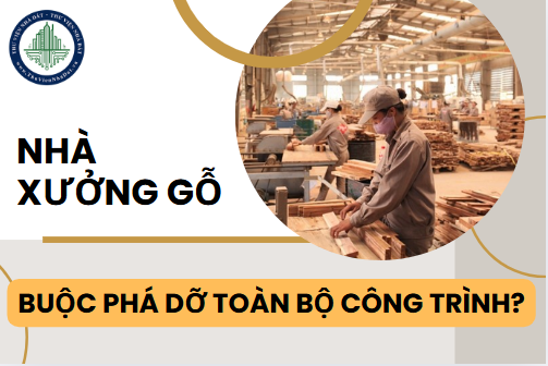 Nhà xưởng gỗ có khả năng cháy, Nhà nước buộc phá dỡ toàn bộ công trình? (Hình ảnh từ Internet)