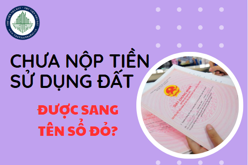 Chưa nộp đủ tiền sử dụng đất có được sang tên sổ đỏ hay không? (Hình ảnh từ Internet)