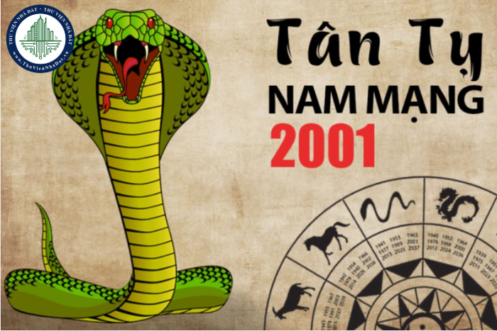 Nam tuổi Tân Tỵ 2001 mệnh gì? Hợp với màu gì? (Hình ảnh từ Internet)