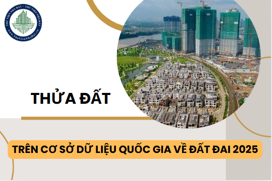 Các loại thửa đất trên cơ sở dữ liệu quốc gia về đất đai mới nhất