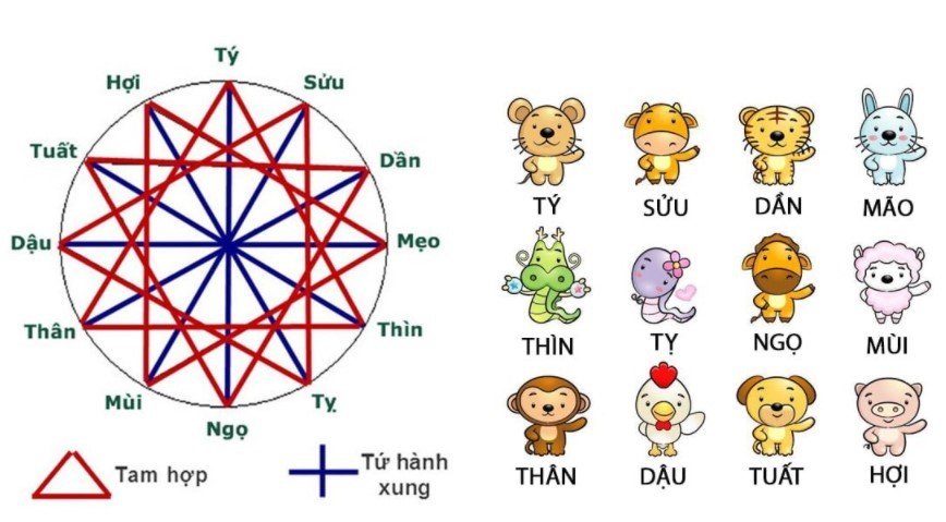 Bộ Tứ Hành Xung Trong 12 Con Giáp: Tìm Hiểu Mối Quan Hệ Và Tác Động Đến Vận Mệnh