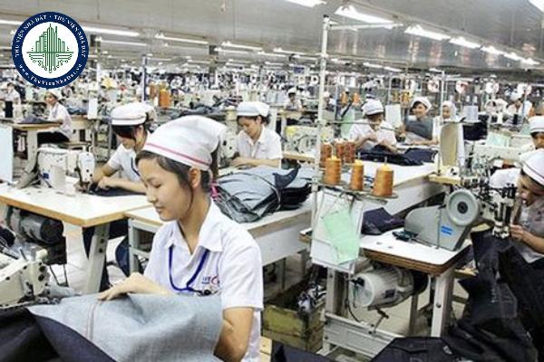 16 tuổi có được làm công nhân nhà máy sản xuất giày không?