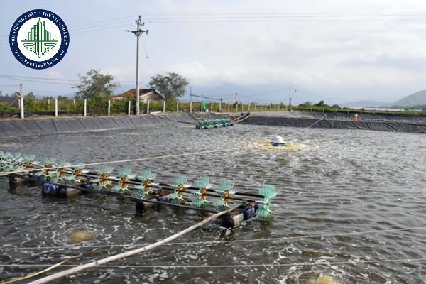 Ai là cơ quan chủ trì trong việc xây dựng kế hoạch tổng thể về quan trắc, cảnh báo môi trường nuôi trồng thủy sản trên toàn quốc?