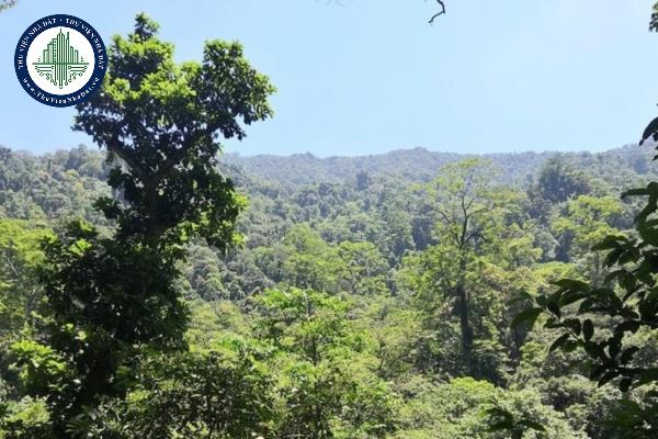 Căn cứ lập quy hoạch bảo tồn đa dạng sinh học của tỉnh, thành phố trực thuộc trung ương được quy định như thế nào?