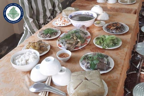 thuviennhadat.vn