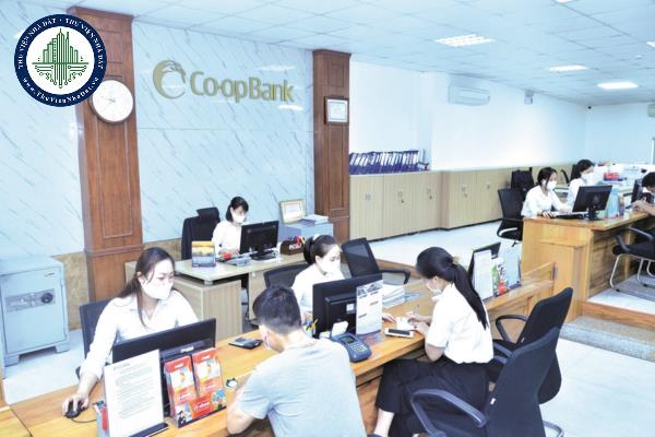 Chi nhánh ngân hàng hợp tác xã là đơn vị gì?