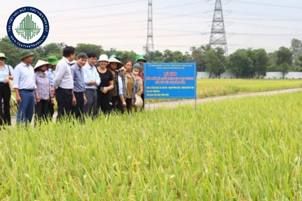 Chính sách hỗ trợ xây dựng mô hình trình diễn thong qua hoạt động khuyến nông được quy định ra sao?