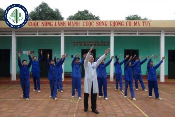 Chủ tịch UBND huyện có trách nhiệm gì trong việc cai nghiện ma túy tự nguyện được quy định như thế nào?