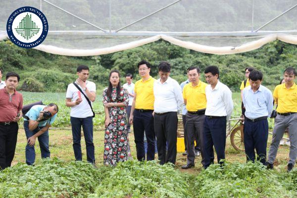 Cơ cấu của Quỹ hợp tác xã địa phương mô hình công ty TNHH được quy định như thế nào?