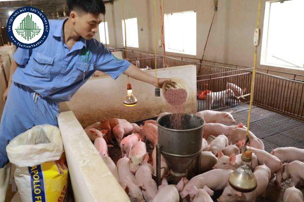 Cơ sở sản xuất thức ăn chăn nuôi không có biện pháp bảo quản nguyên liệu phạt bao nhiêu?