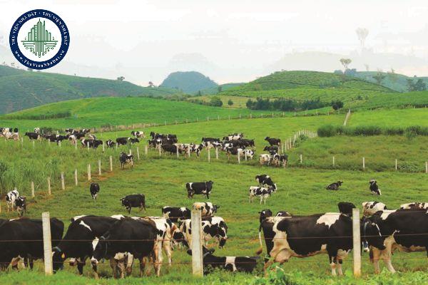 Cơ sở sản xuất thức ăn chăn nuôi không ghi và lưu nhật ký sản xuất phạt bao nhiêu?