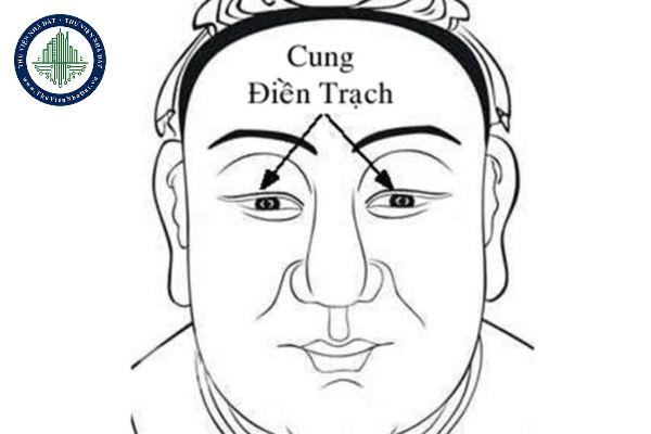 Cung Điền Trạch