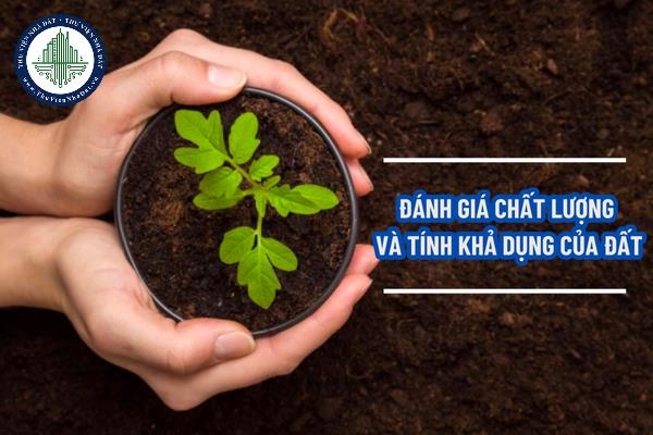 Kinh nghiệm mua đất ruộng mà mọi người nên biết. Cần lưu ý gì khi mua đất ruộng?