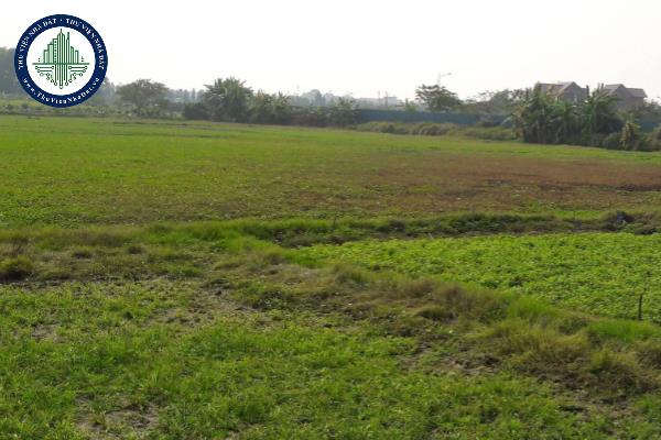 Đất thuộc đối tượng của UBND cấp tỉnh lẫn UBND cấp huyện thì cơ quan nào có thẩm quyền xác định loại đất?