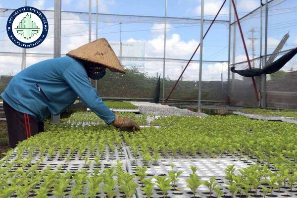 Để thành lập Quỹ hợp tác xã địa phương thì cần có những điều kiện được quy định như thế nào?