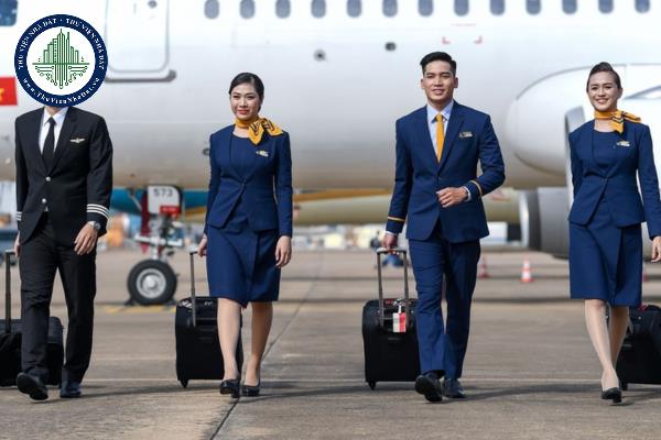 Giấy phép nhân viên hàng không bao gồm các nội dung nào?